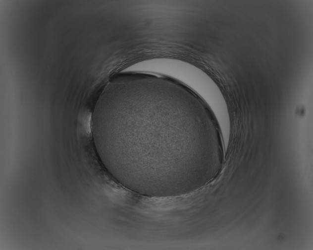 X0000089920041200707131420