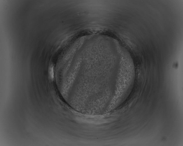 X0000089920042200707131420