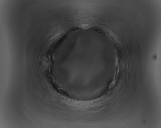 X0000089920043200707131420