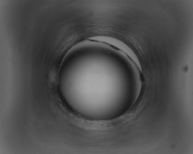 X0000089920044200707131420