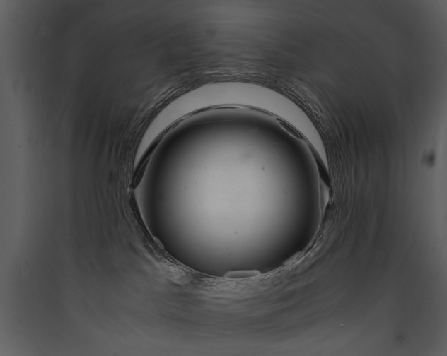 X0000089920045200707131420