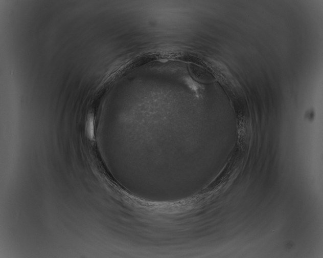 X0000089920046200707131420