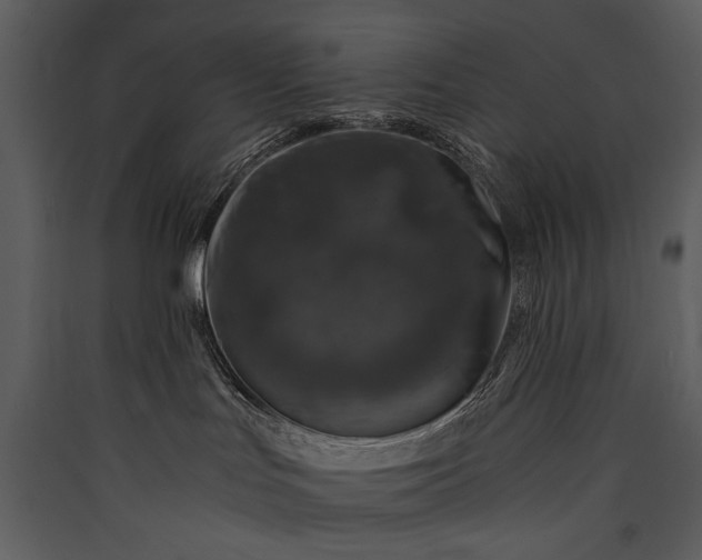 X0000089920047200707131420