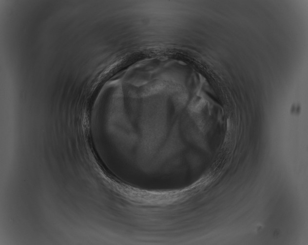 X0000089920048200707131420