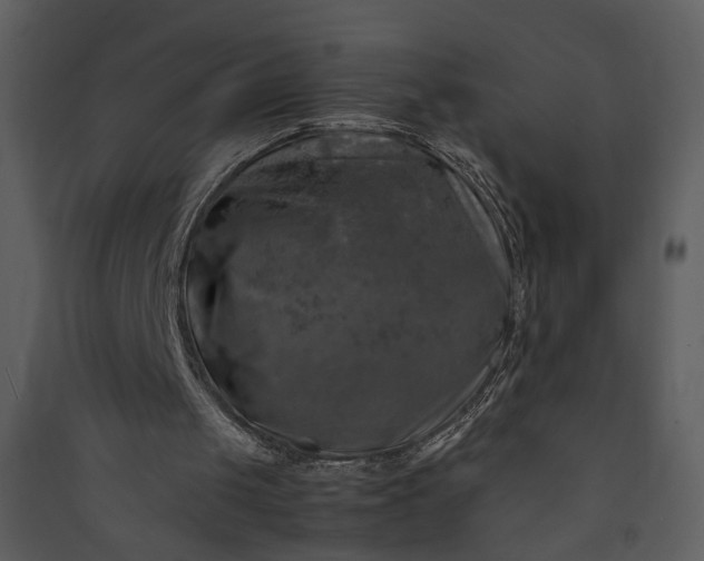 X0000089920049200707131419