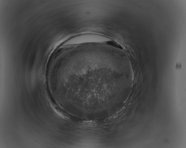 X0000089920050200707131419