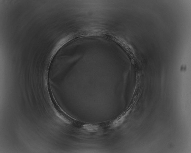 X0000089920051200707131419