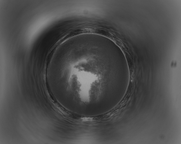 X0000089920052200707131419