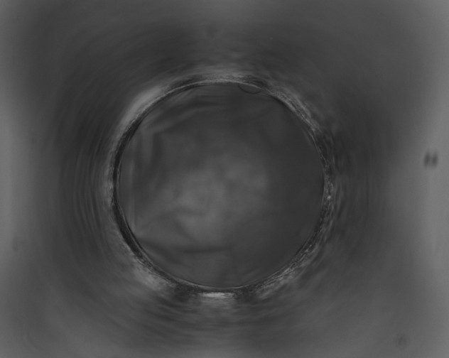 X0000089920053200707131419
