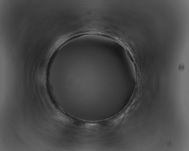 X0000089920055200707131419