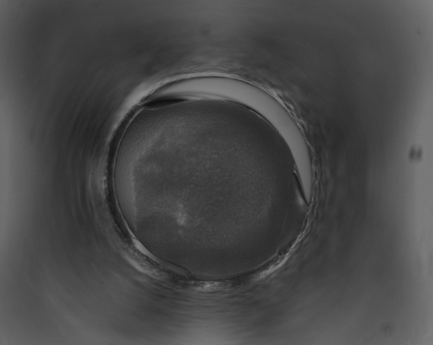 X0000089920056200707131419