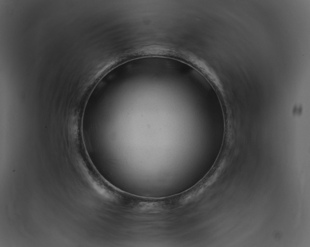 X0000089920057200707131419