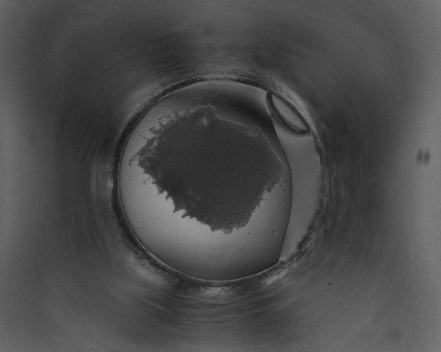 X0000089920059200707131419