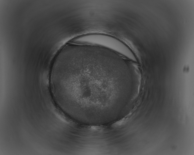 X0000089920060200707131419