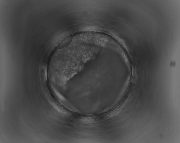 X0000089920061200707131419
