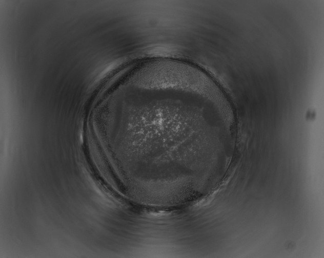X0000089920062200707131419