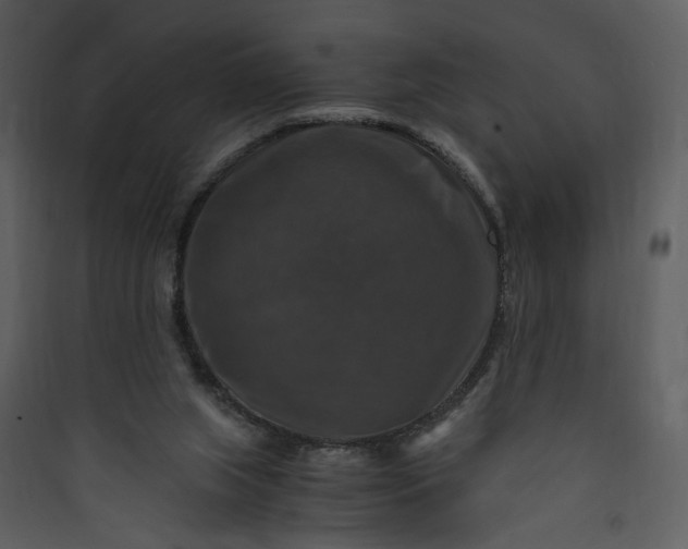 X0000089920063200707131419