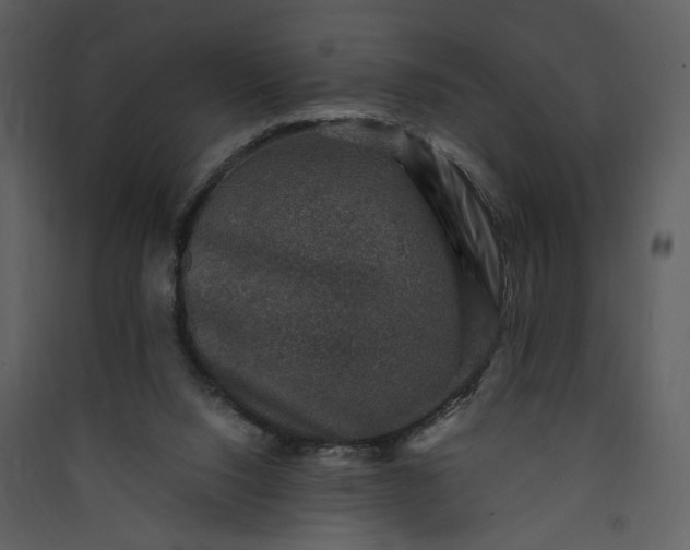 X0000089920064200707131419