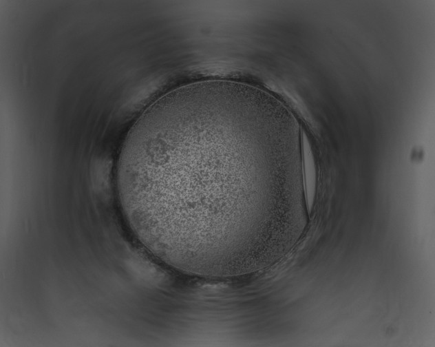 X0000089920066200707131419
