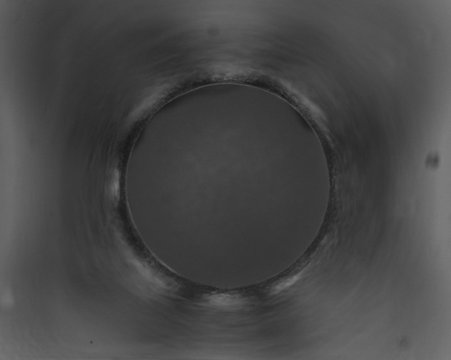 X0000089920067200707131419