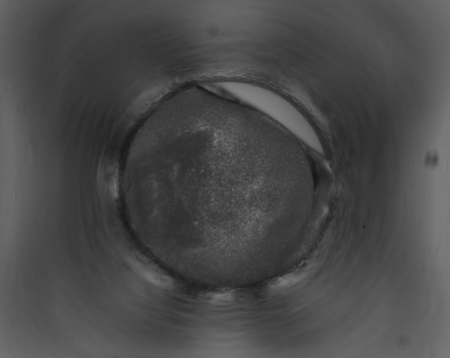 X0000089920068200707131419
