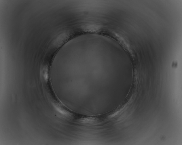 X0000089920069200707131419