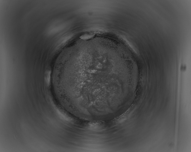 X0000089920070200707131419