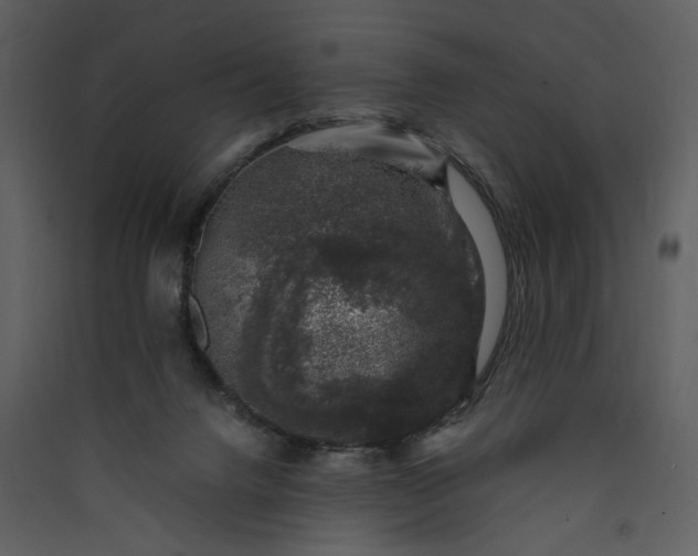 X0000089920072200707131419
