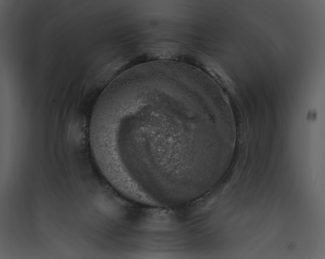 X0000089920073200707131419