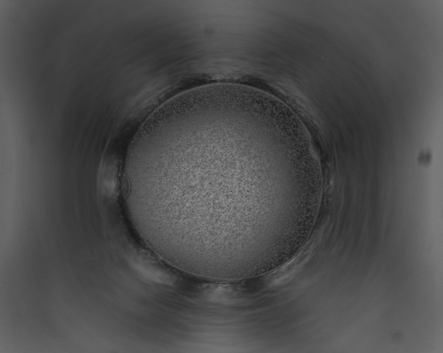 X0000089920074200707131420