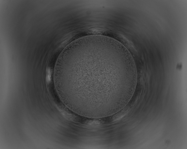 X0000089920075200707131420