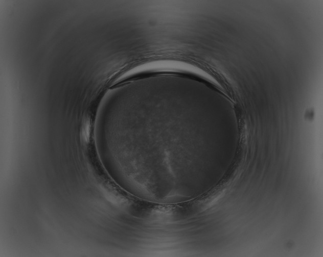 X0000089920076200707131420