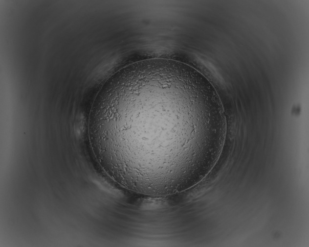 X0000089920077200707131420