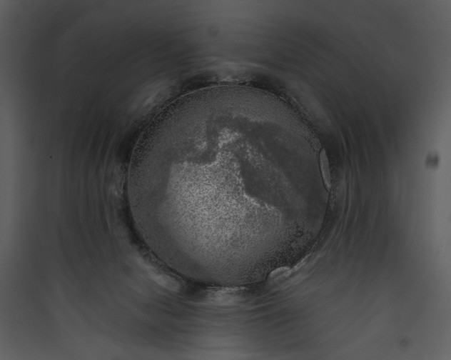 X0000089920078200707131420