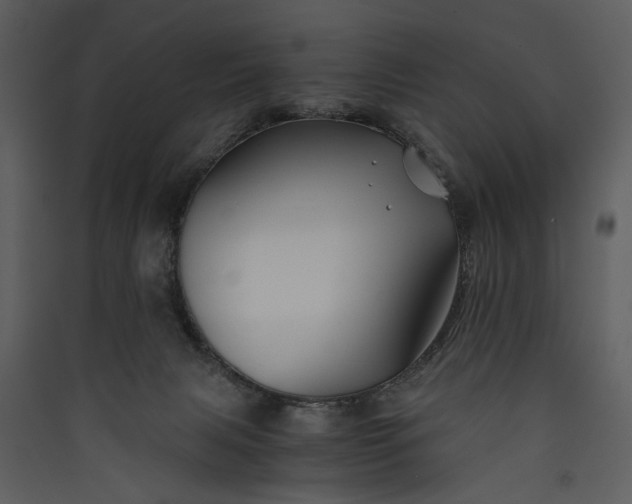 X0000089920079200707131420