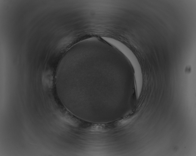 X0000089920080200707131420