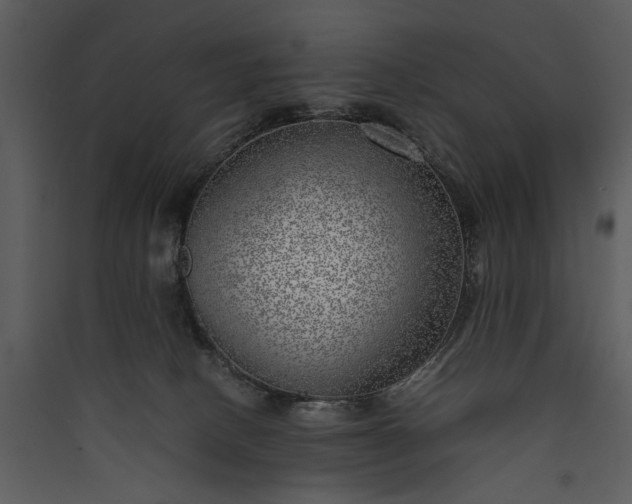 X0000089920082200707131420