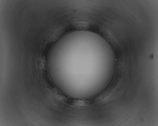 X0000089920083200707131420