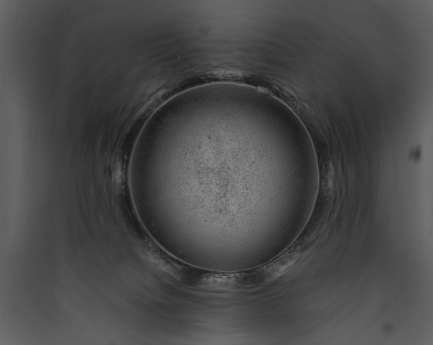 X0000089920084200707131420