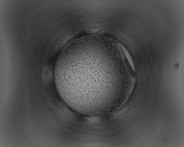 X0000089920085200707131420