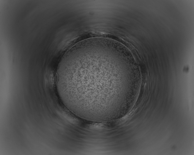 X0000089920086200707131420