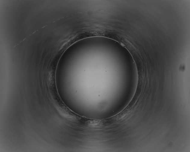 X0000089920088200707131420