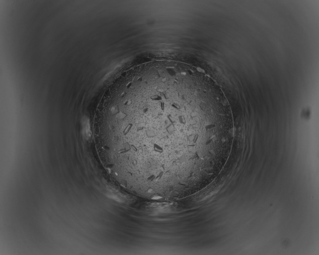 X0000089920089200707131420