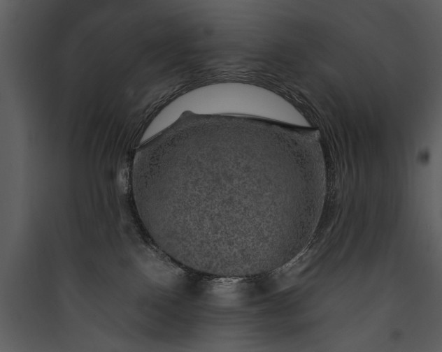 X0000089920090200707131420