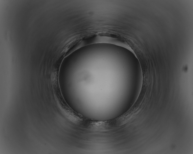 X0000089920092200707131420