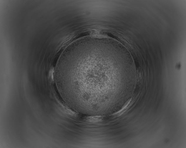 X0000089920094200707131420
