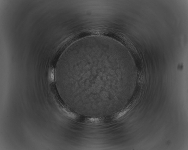 X0000089920095200707131420