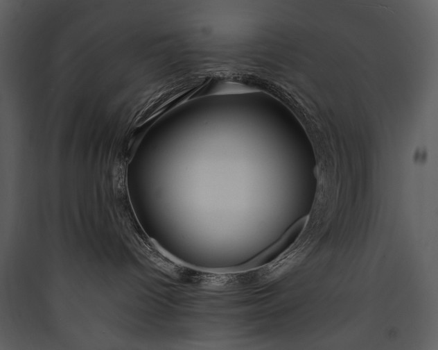 X0000089920096200707131420