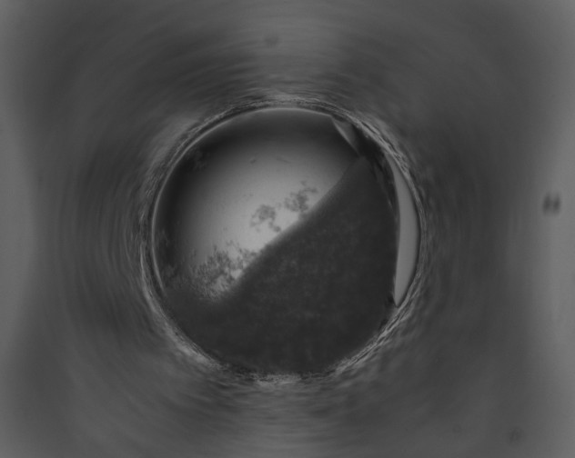 X0000089920097200707131419