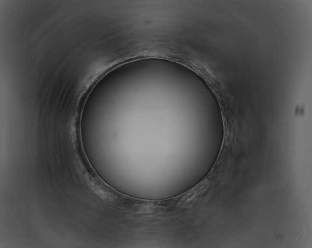 X0000089920098200707131419
